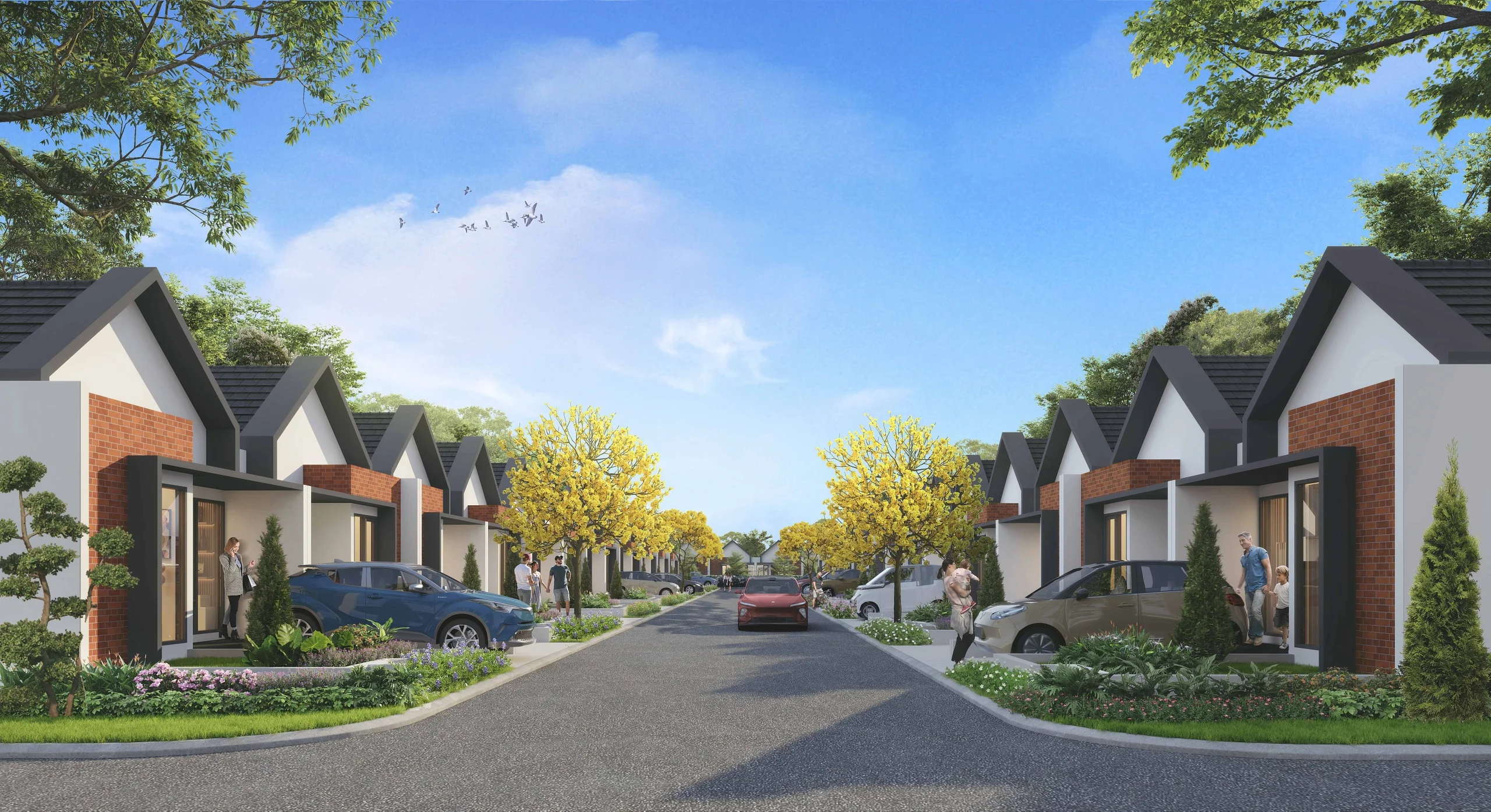 Liandra City Gallery